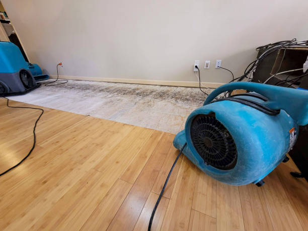 Professional Burst Pipe Water Damage technician working in White Oak, OH